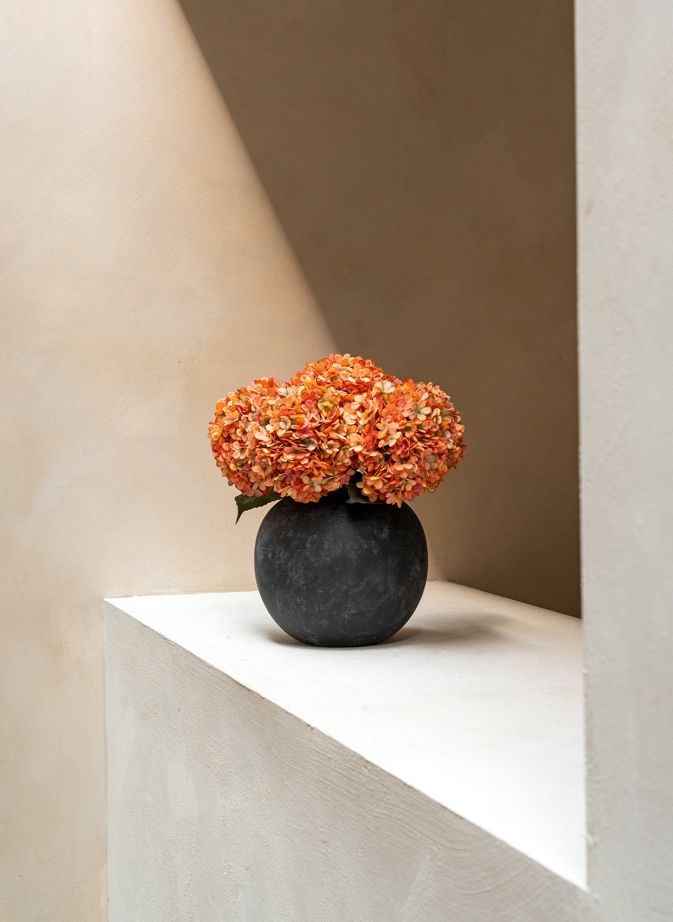 Grande Hortensia (5 tiges) - Orange