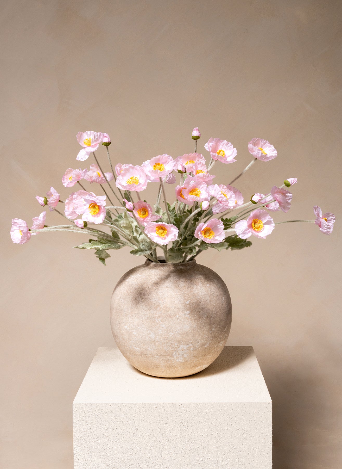 Coquelicots - Rose clair (10 tiges)