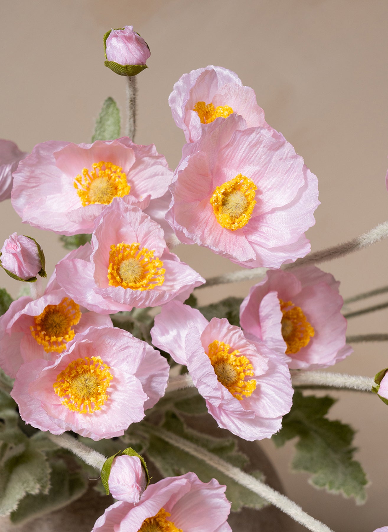 Coquelicots - Rose clair (10 tiges)