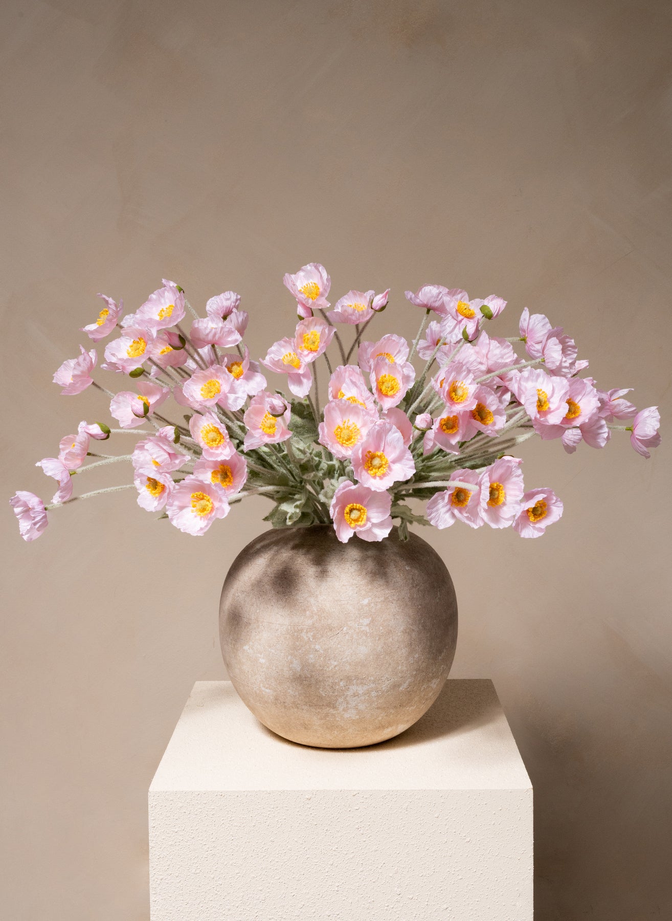 Coquelicots - Rose clair (10 tiges)