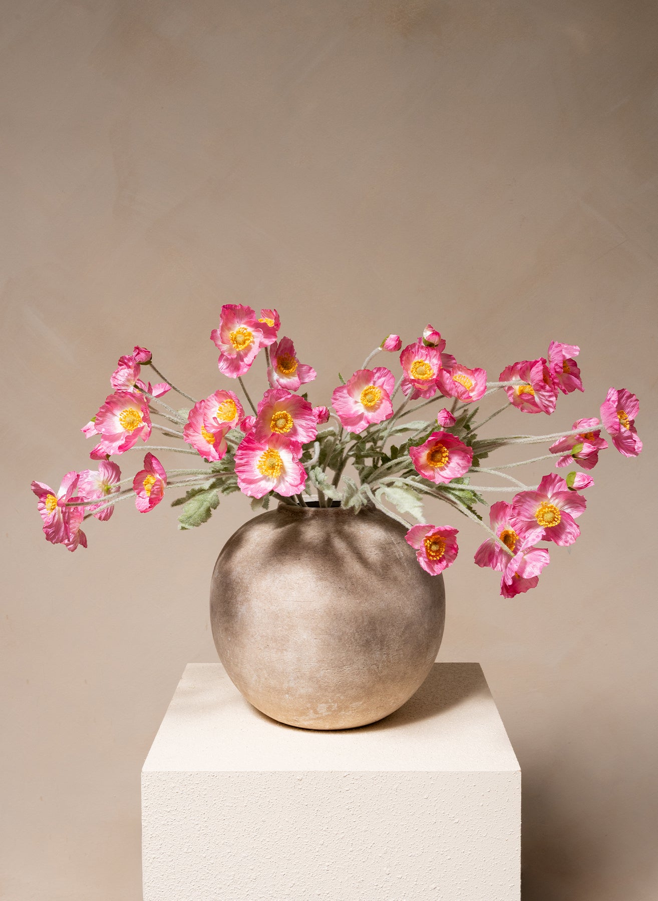 Coquelicots - Rose (10 tiges)