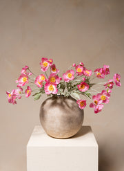 Coquelicots - Rose (10 tiges)