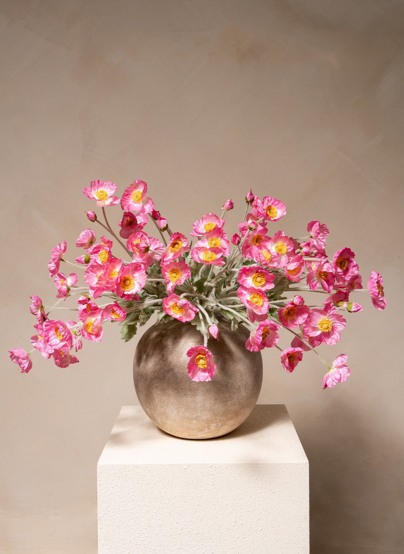 Coquelicots - Rose (10 tiges)