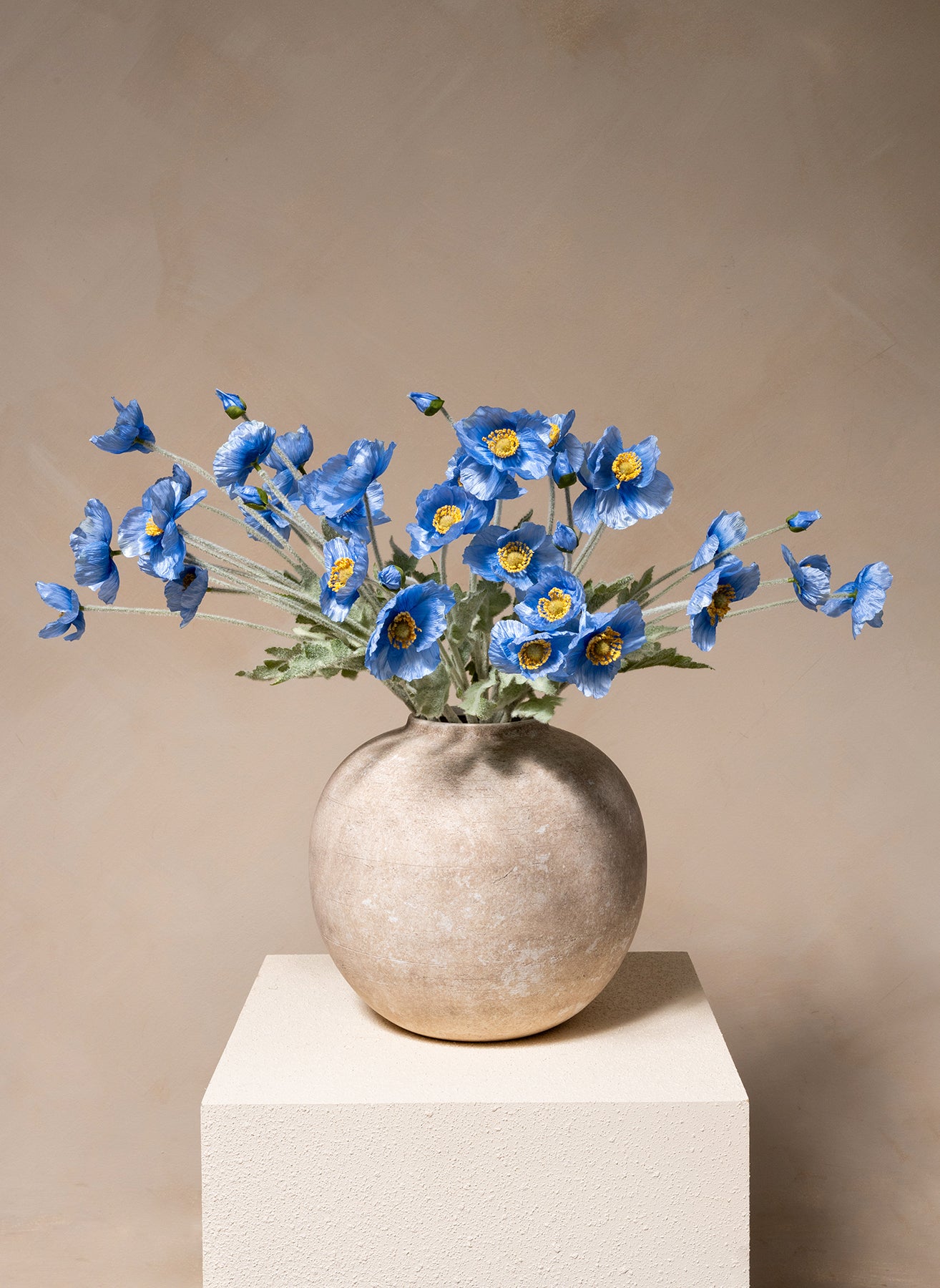 Coquelicots - Bleu (10 tiges)