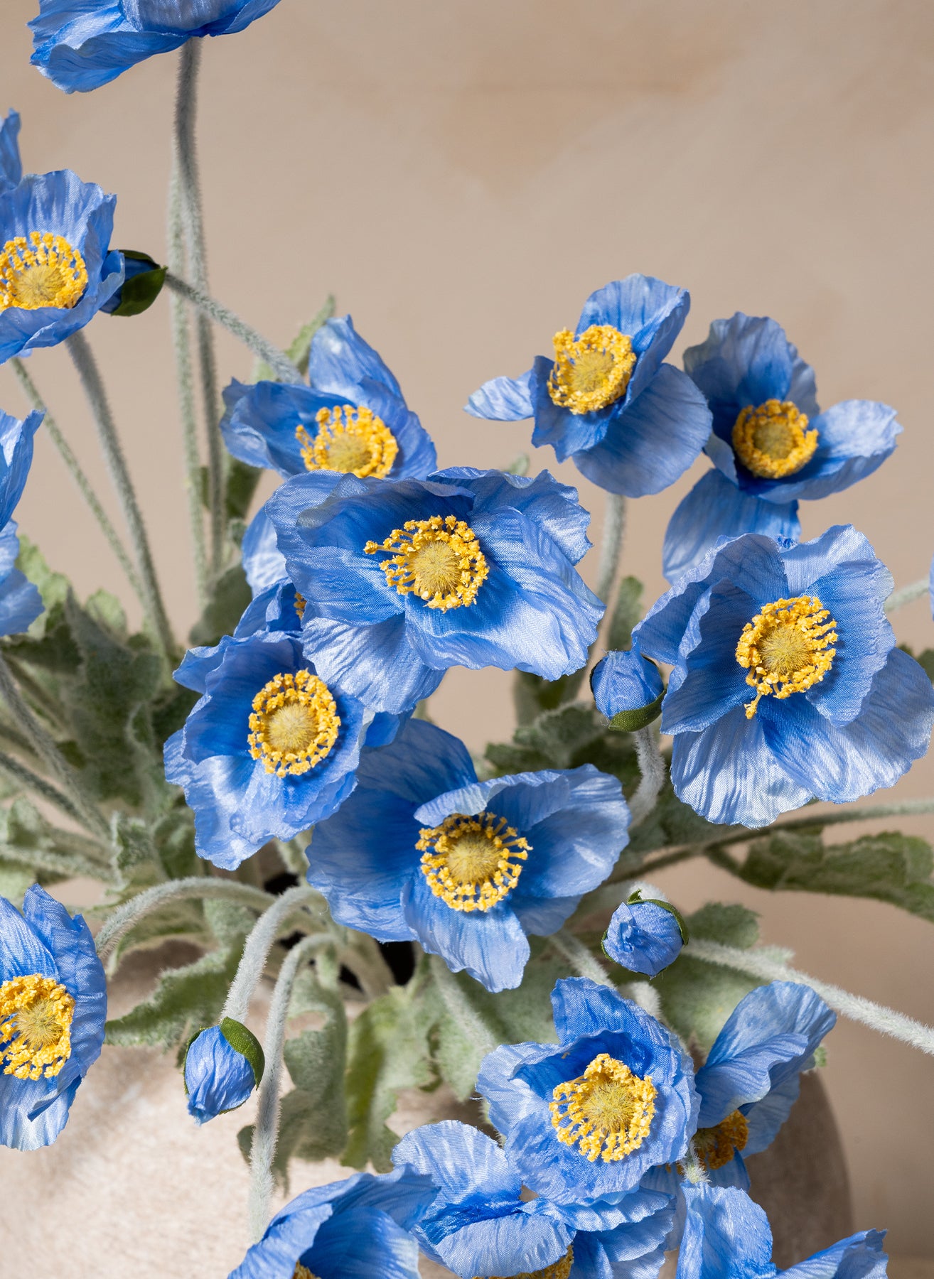 Coquelicots - Bleu (10 tiges)