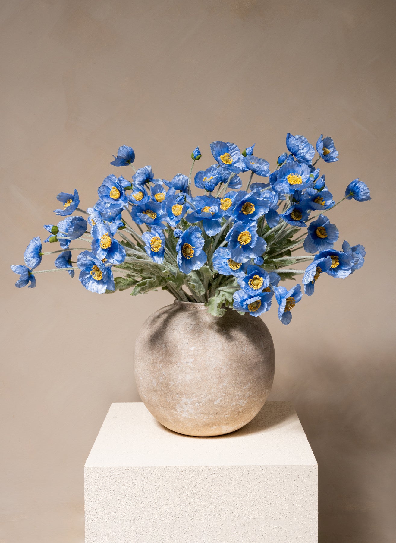 Coquelicots - Bleu (10 tiges)
