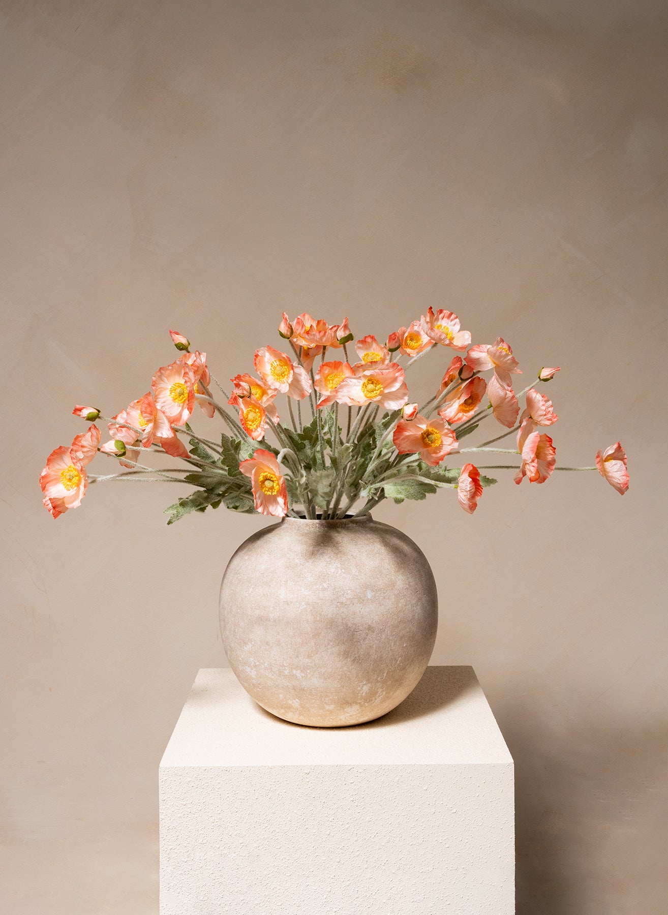 Coquelicots - Vieux rose (10 tiges)