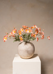 Coquelicots - Vieux rose (10 tiges)
