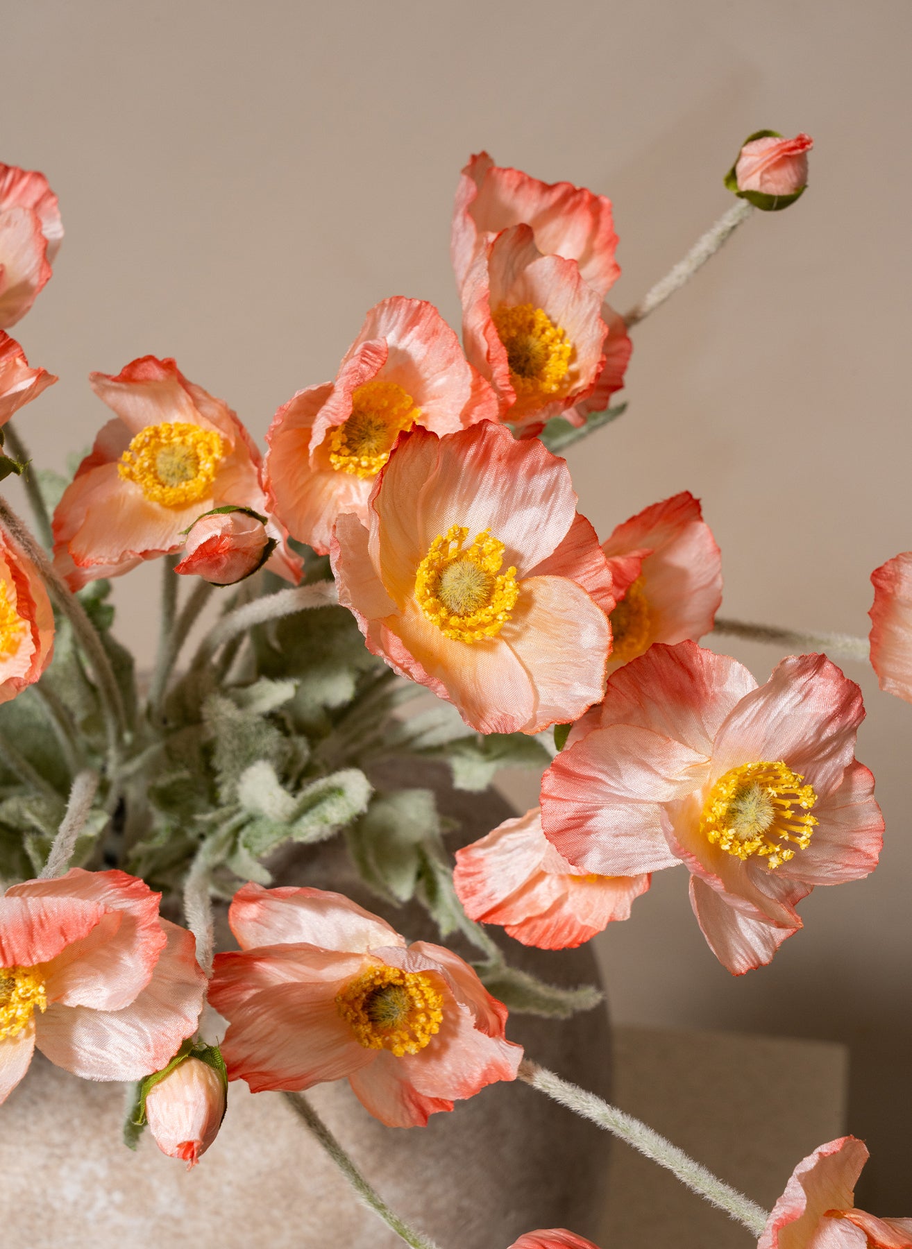 Coquelicots - Vieux rose (10 tiges)