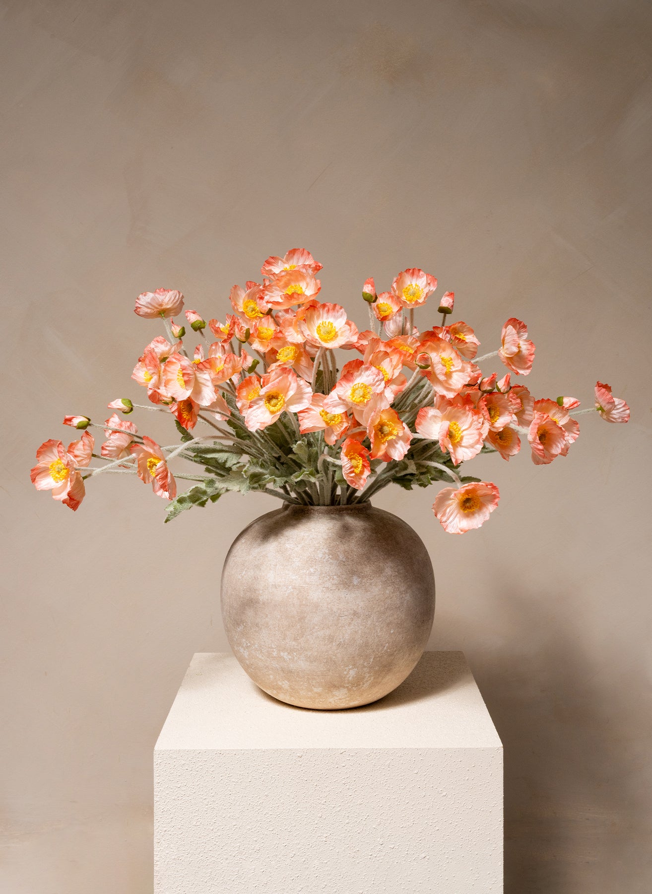 Coquelicots - Vieux rose (10 tiges)