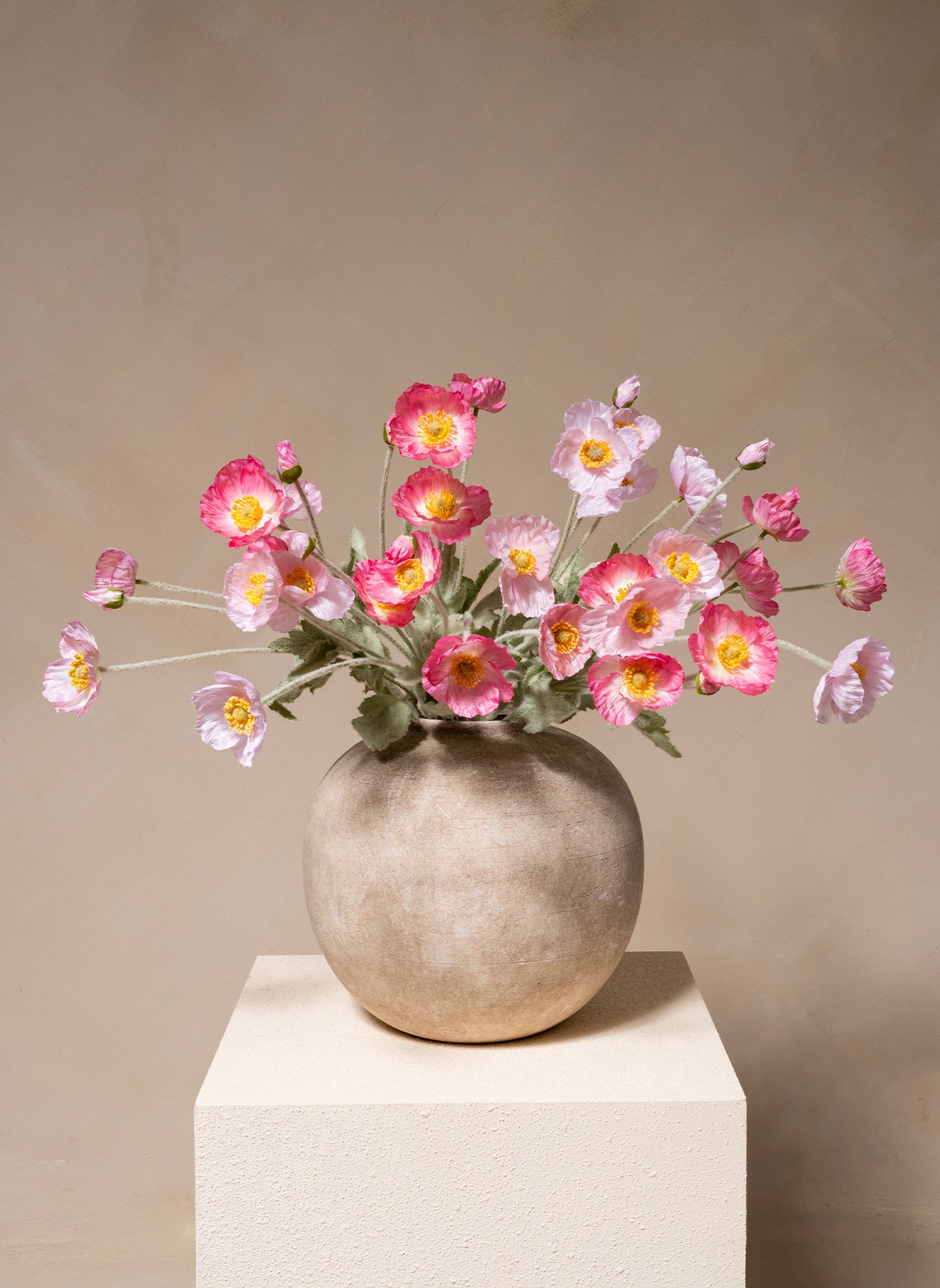 Coquelicots - Mélange rose (10 tiges)