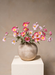 Coquelicots - Mélange rose (10 tiges)