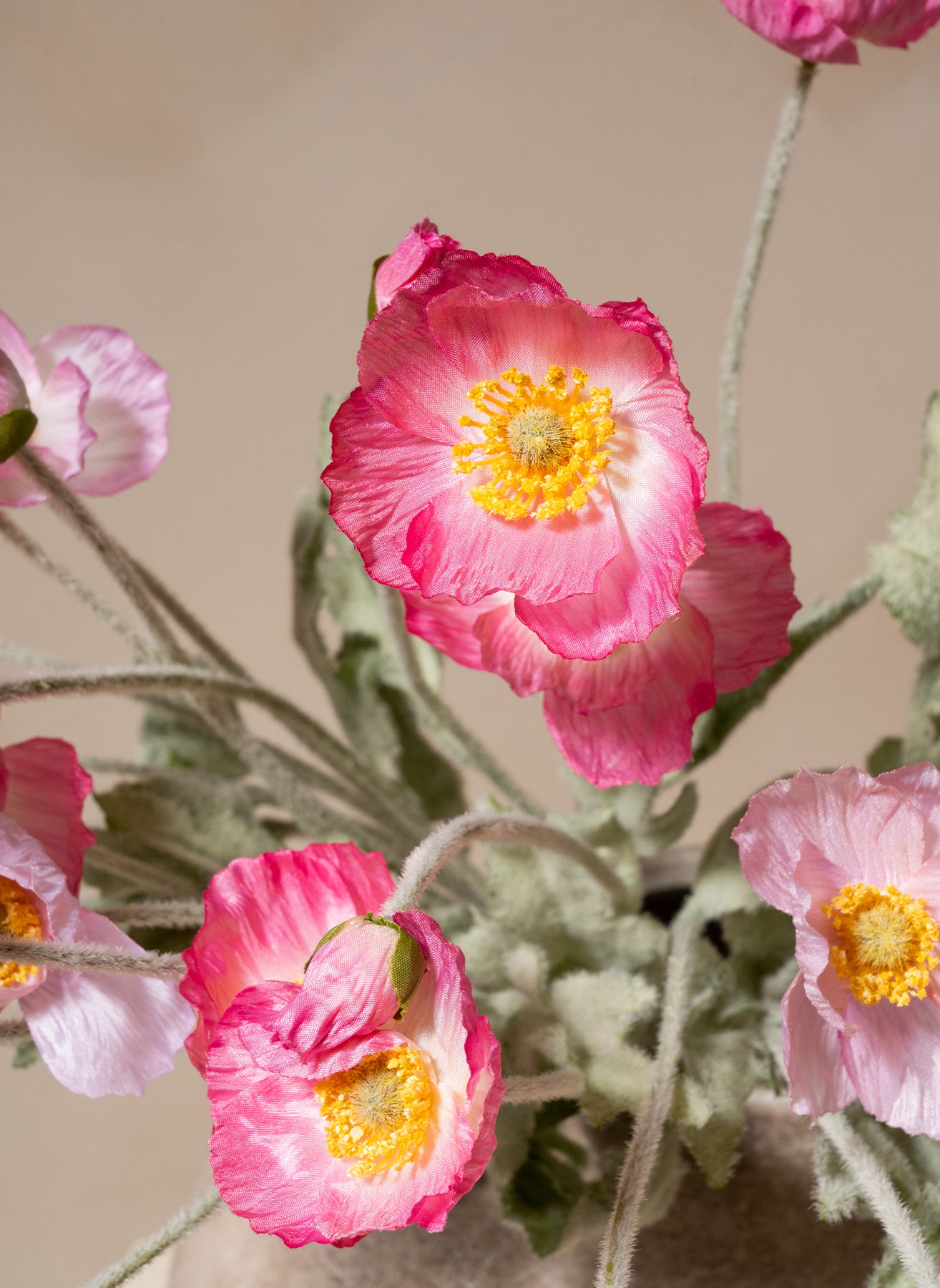 Coquelicots - Mélange rose (10 tiges)