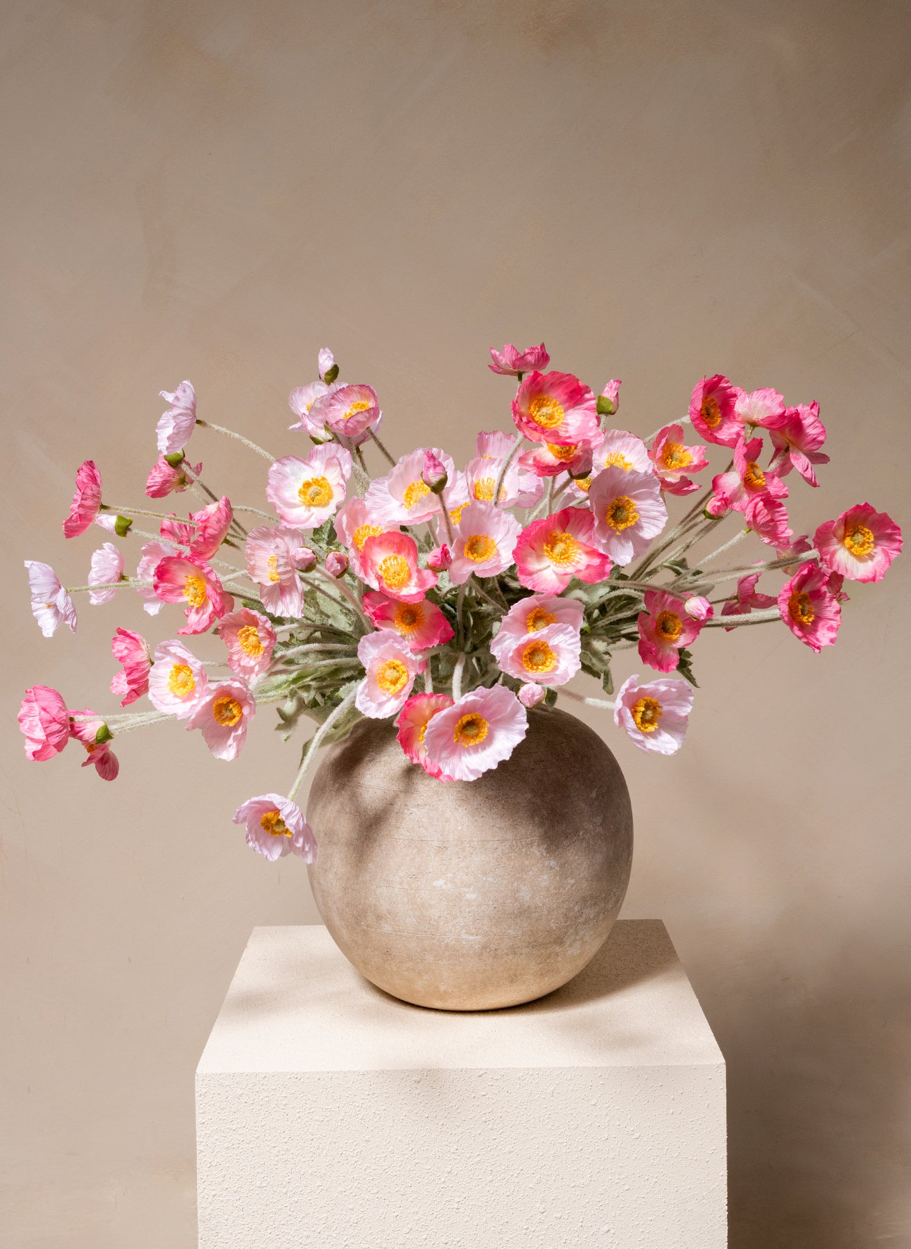 Coquelicots - Mélange rose (10 tiges)