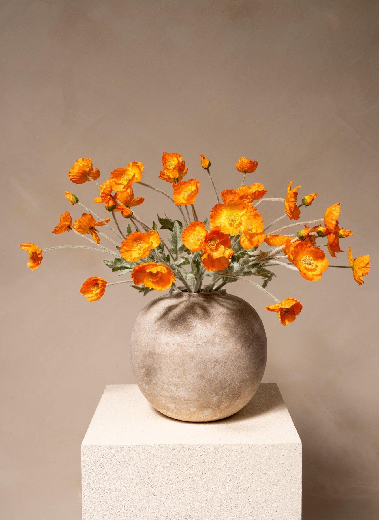 Coquelicots - Orange clair (10 tiges)