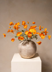 Coquelicots - Orange clair (10 tiges)