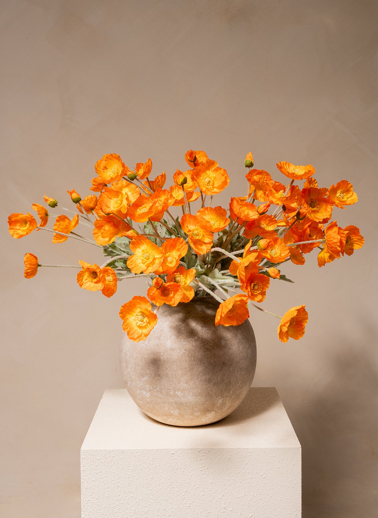 Coquelicots - Orange clair (10 tiges)