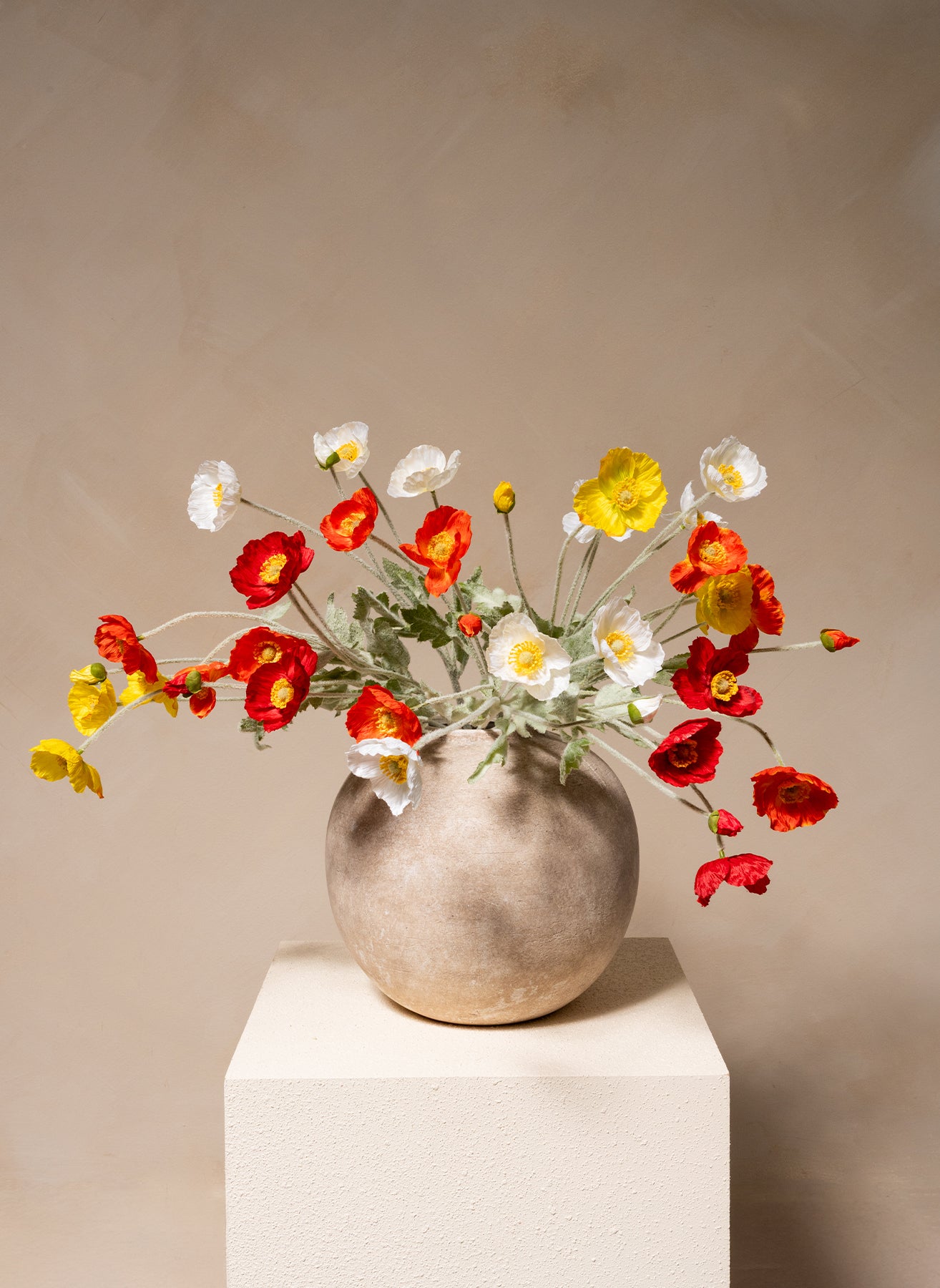 Coquelicots - Mélange d'été (10 tiges)