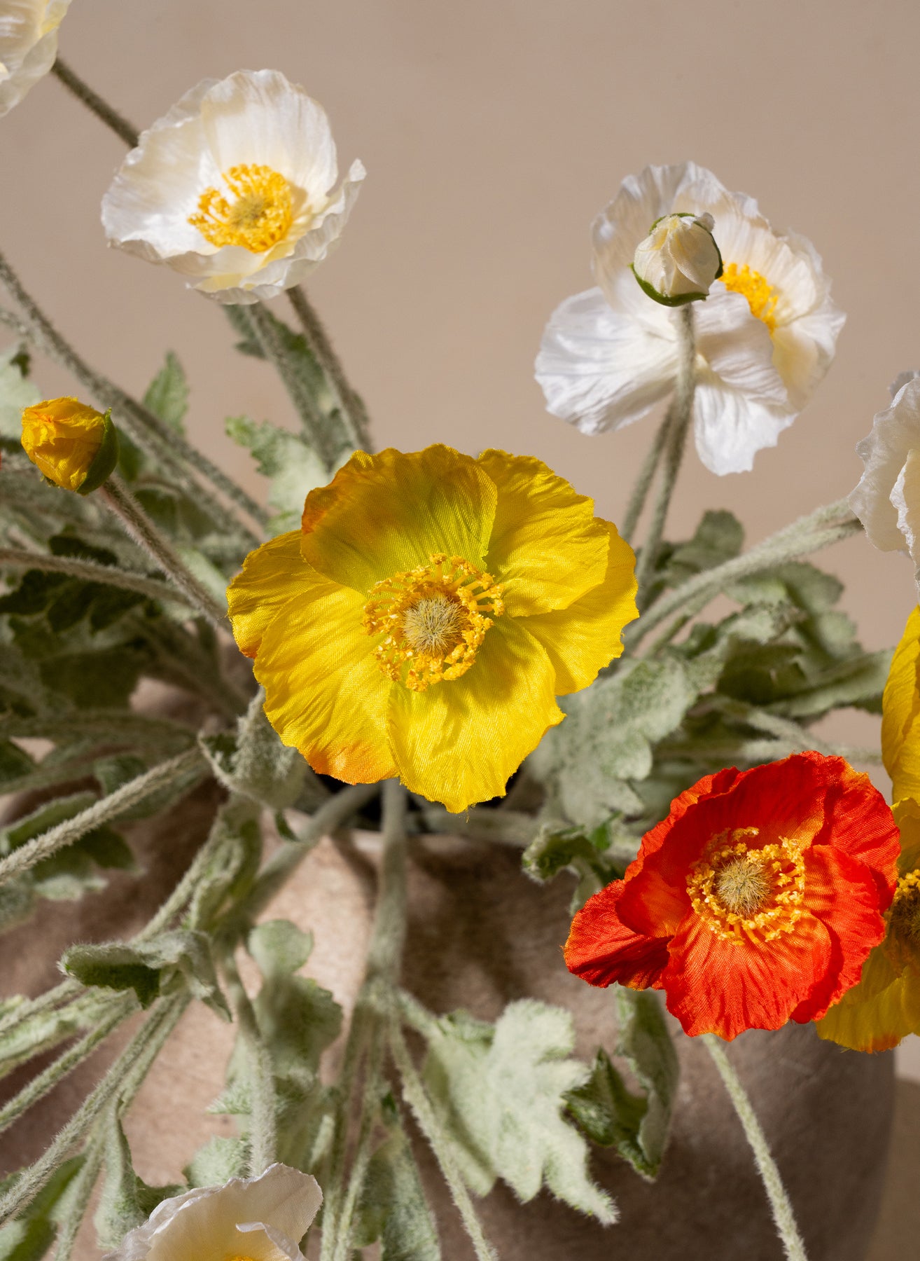 Coquelicots - Mélange d'été (10 tiges)