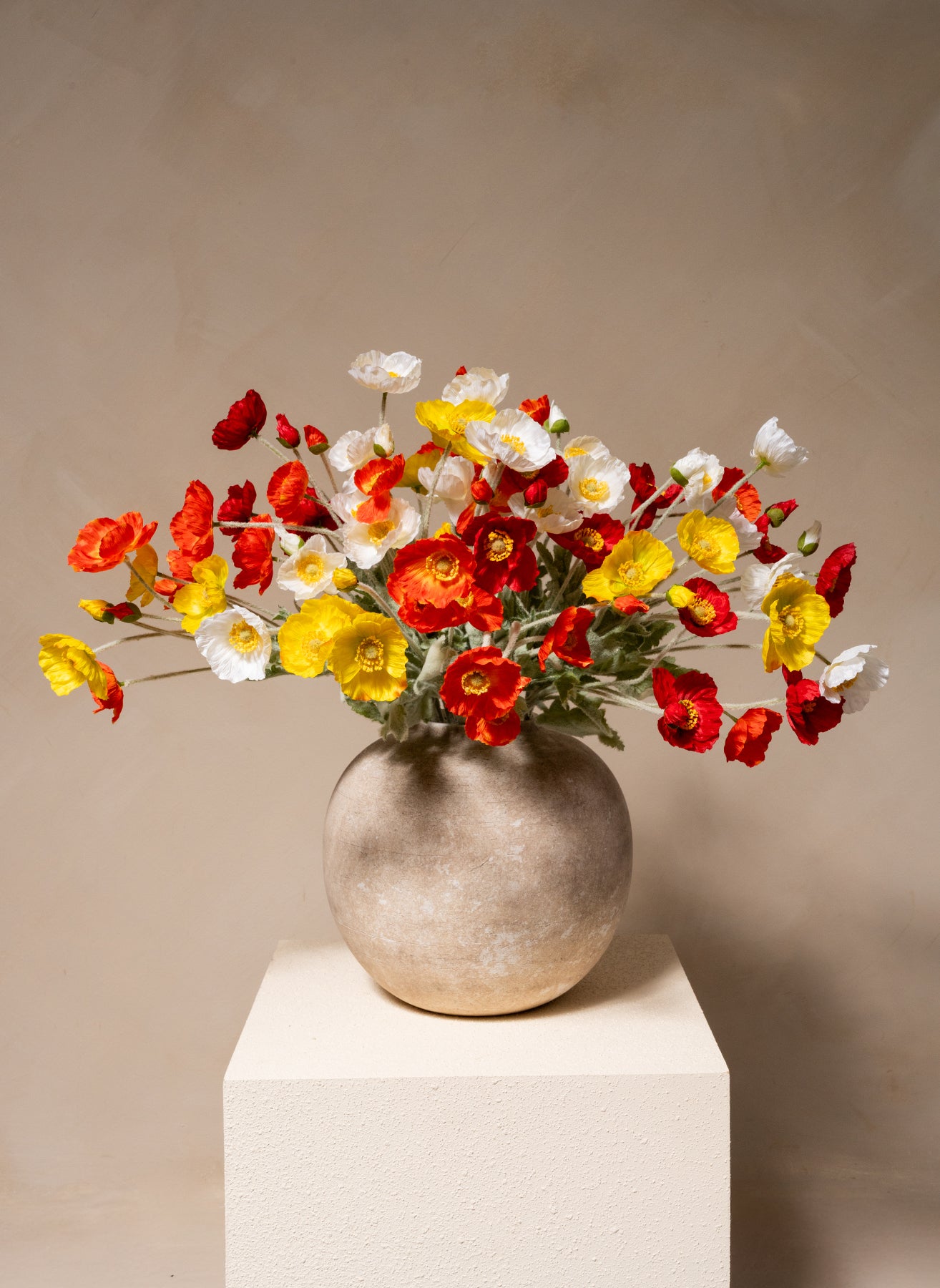 Coquelicots - Mélange d'été (10 tiges)