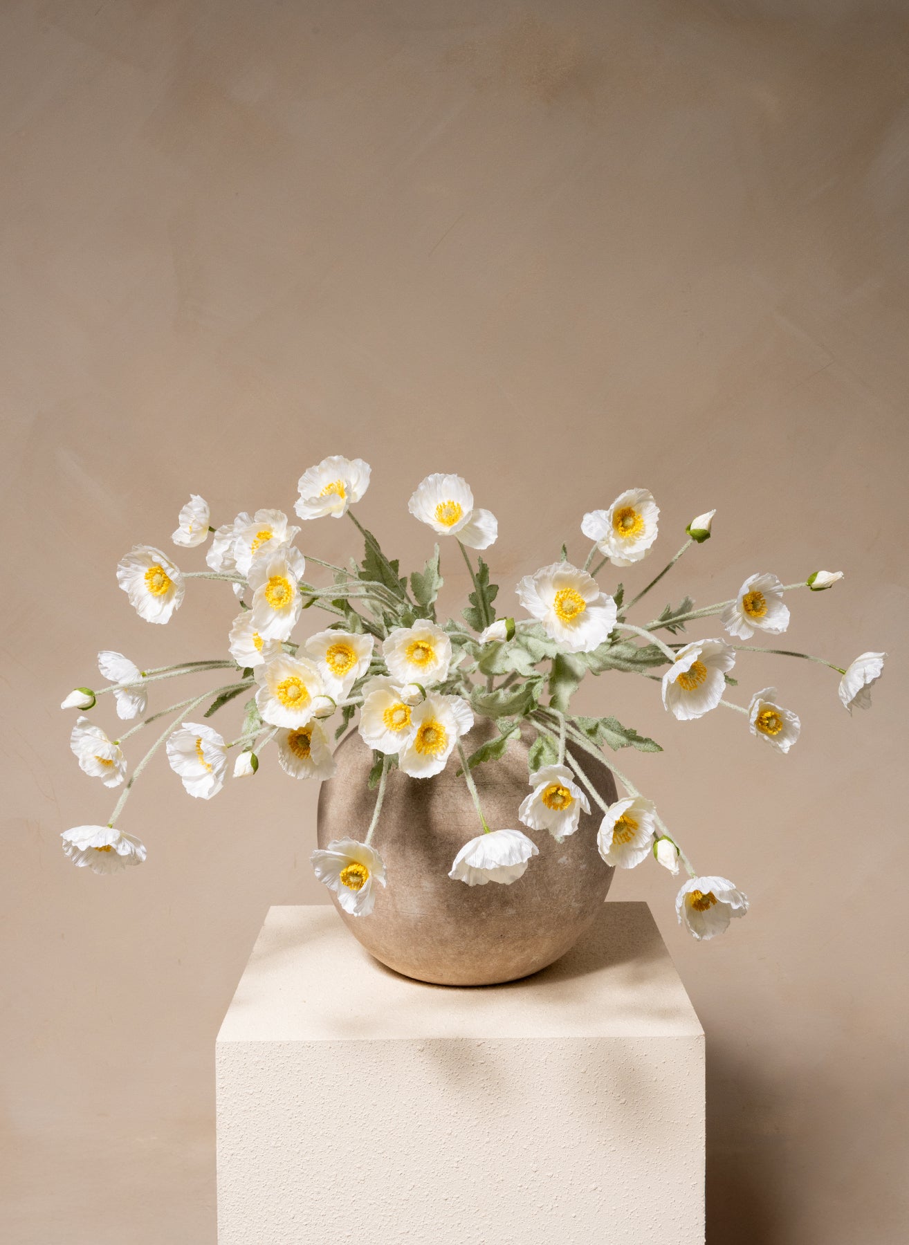 Coquelicots - Blanc (10 tiges)