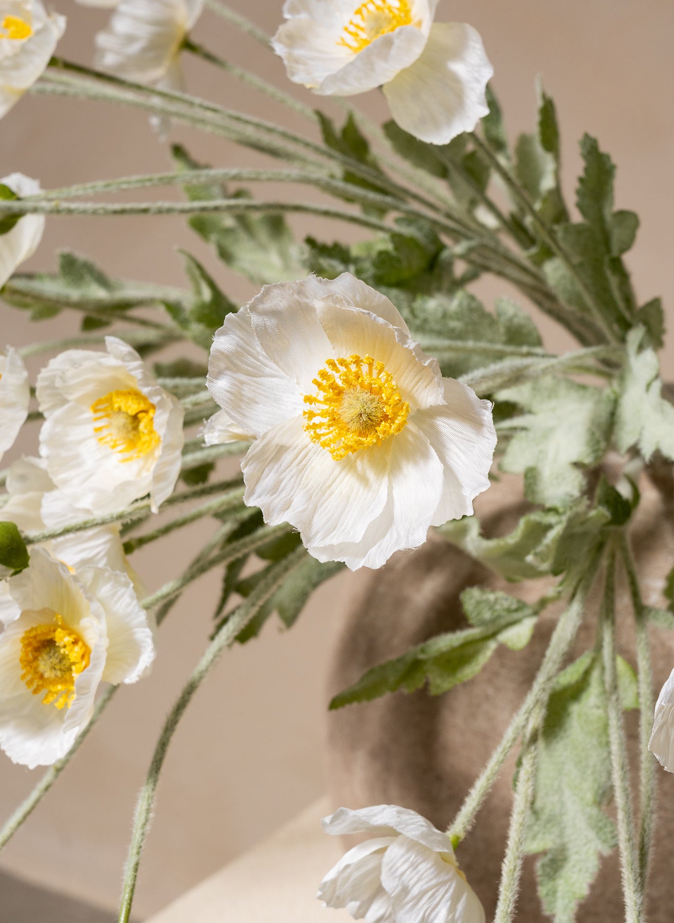 Coquelicots - Blanc (10 tiges)