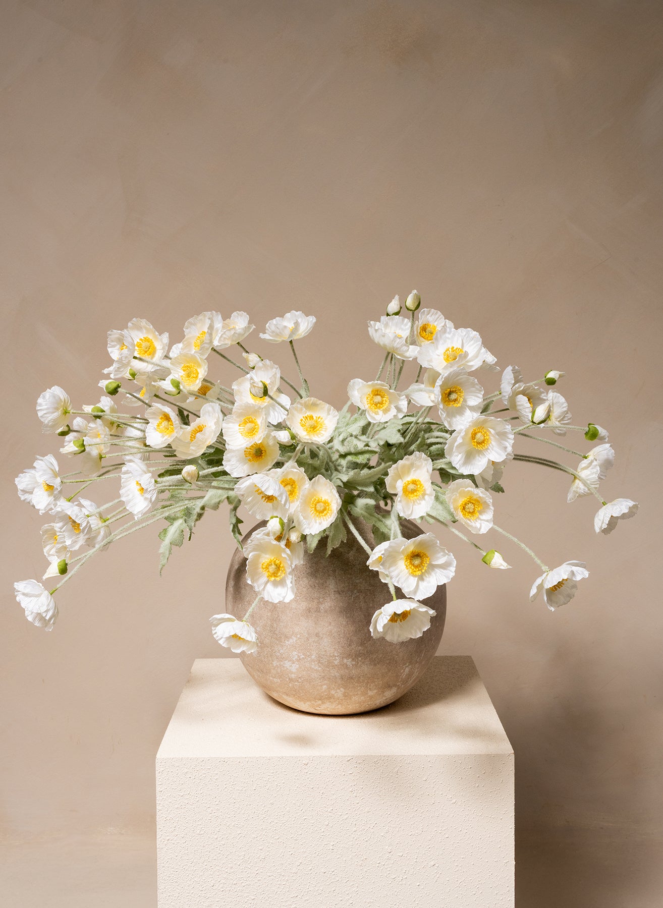 Coquelicots - Blanc (10 tiges)