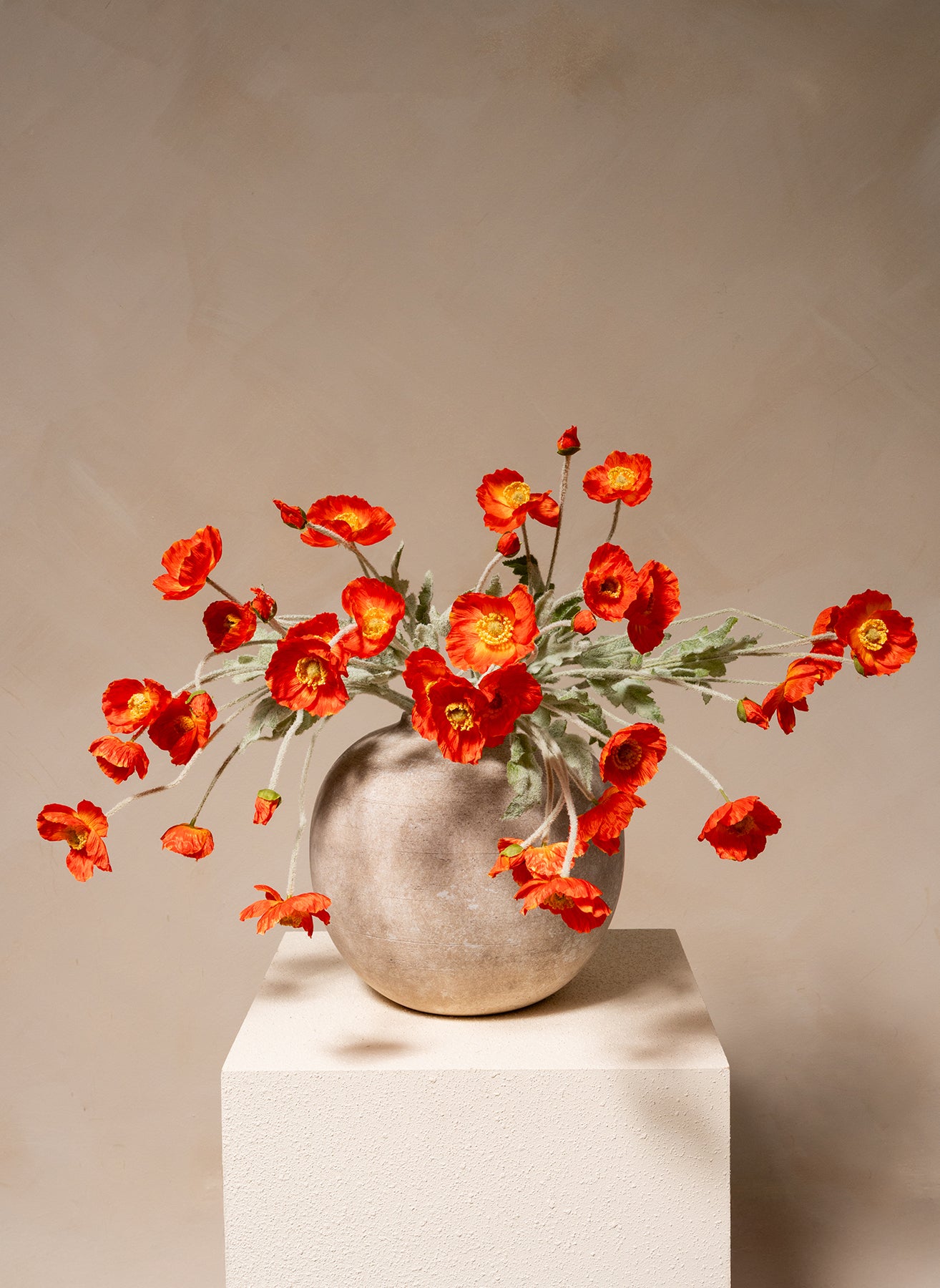 Coquelicots - Orange (10 tiges)