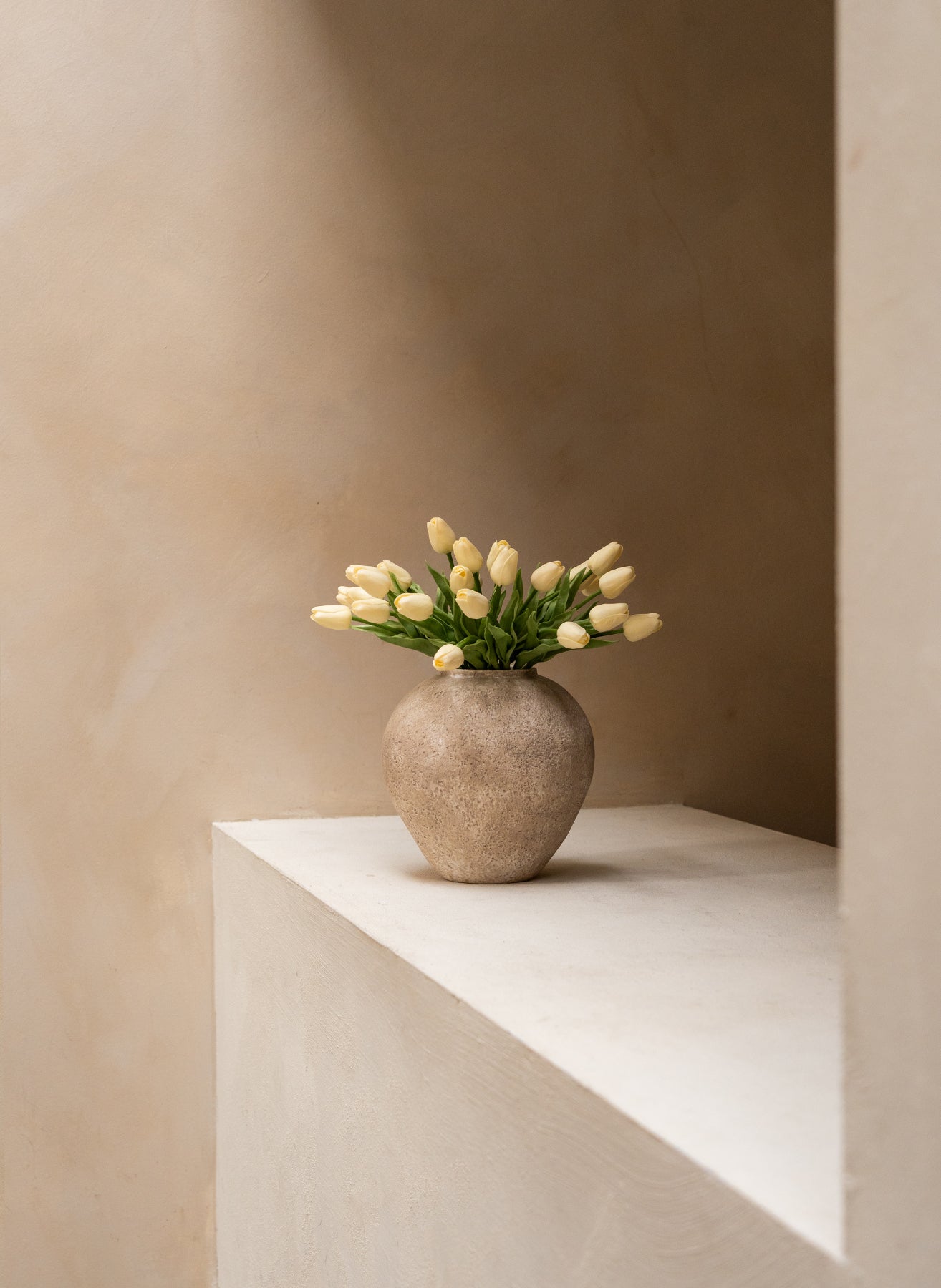 Tulipes - Blanc (25 Tiges)