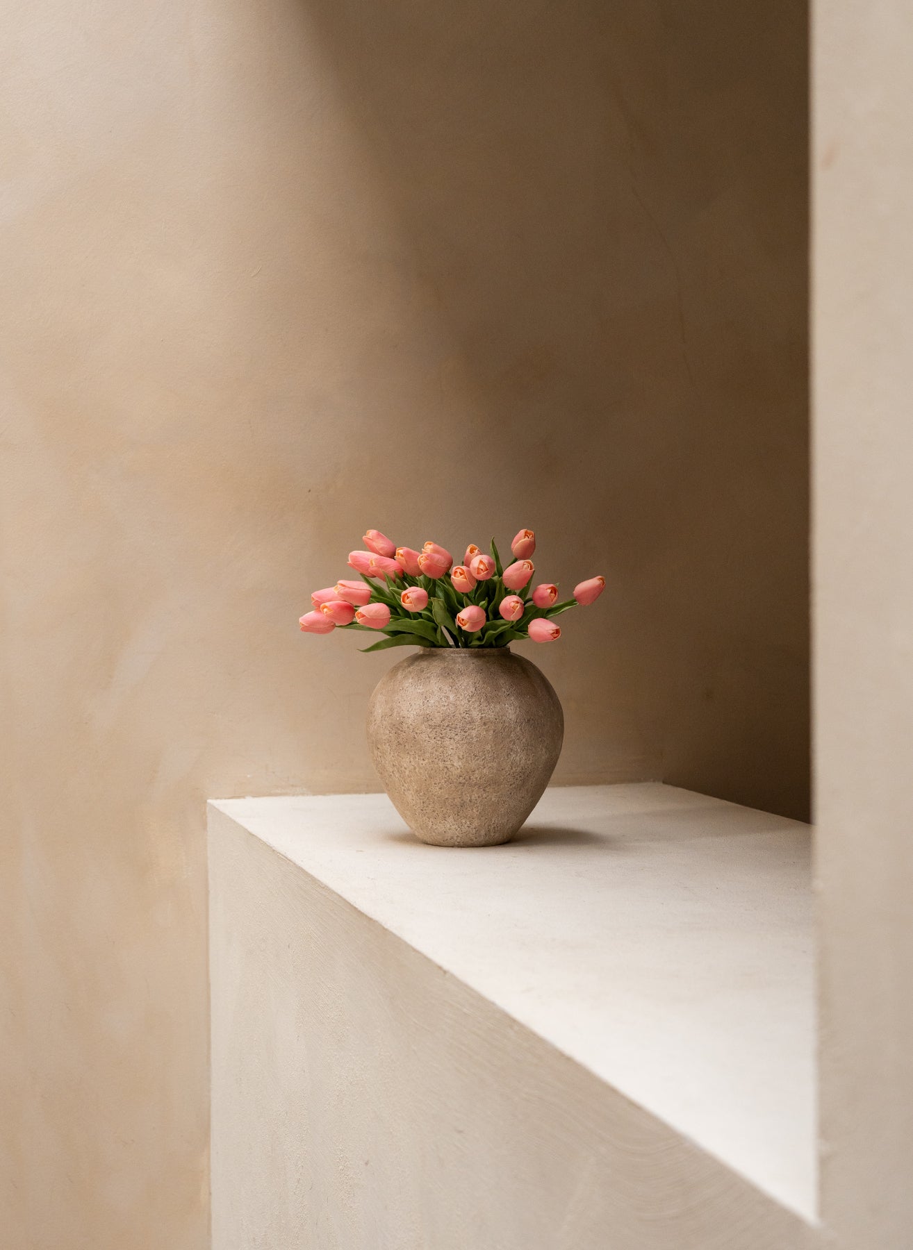Tulipes - Rose (25 Tiges)