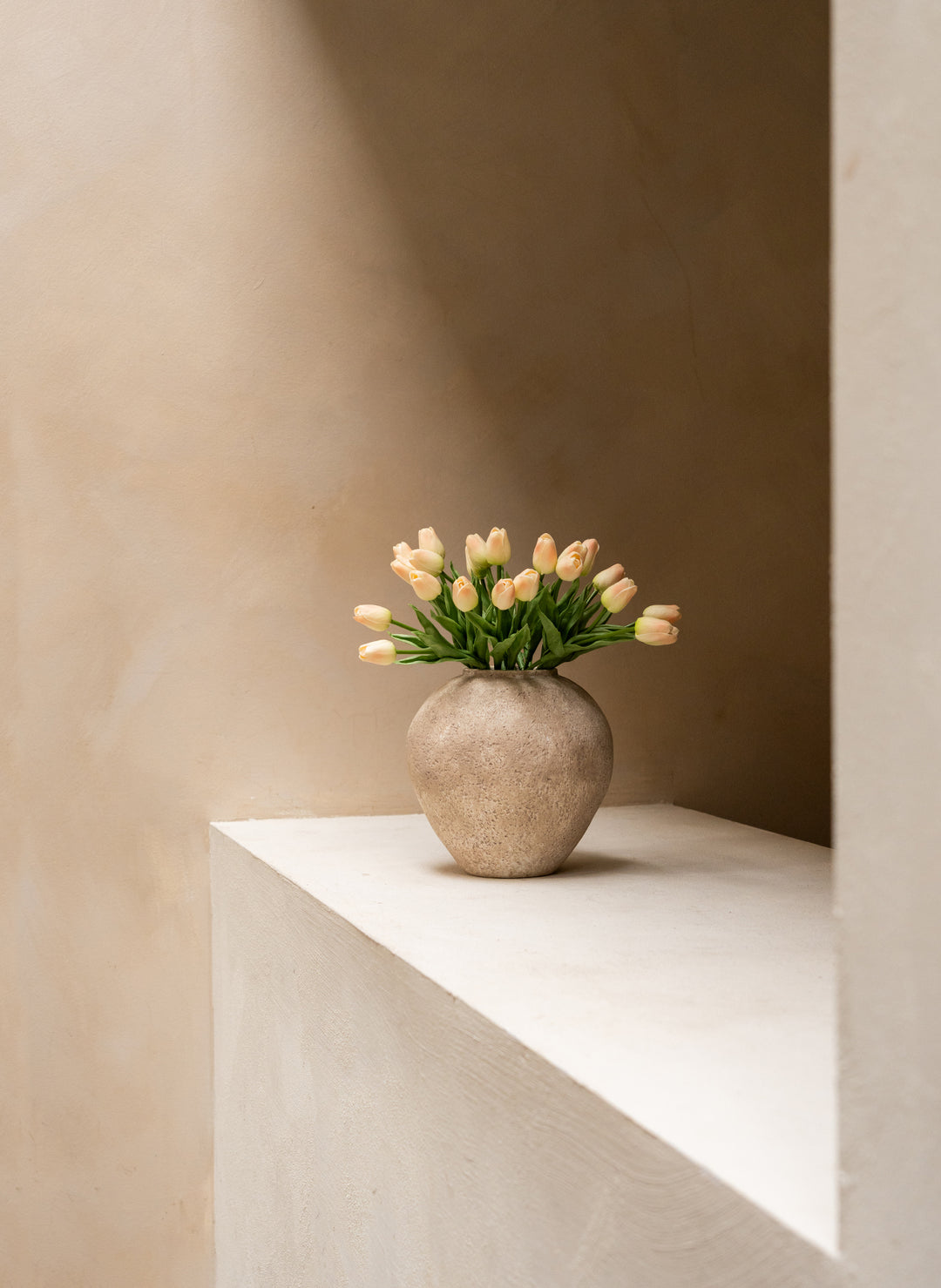 Tulipes - Vieux rose