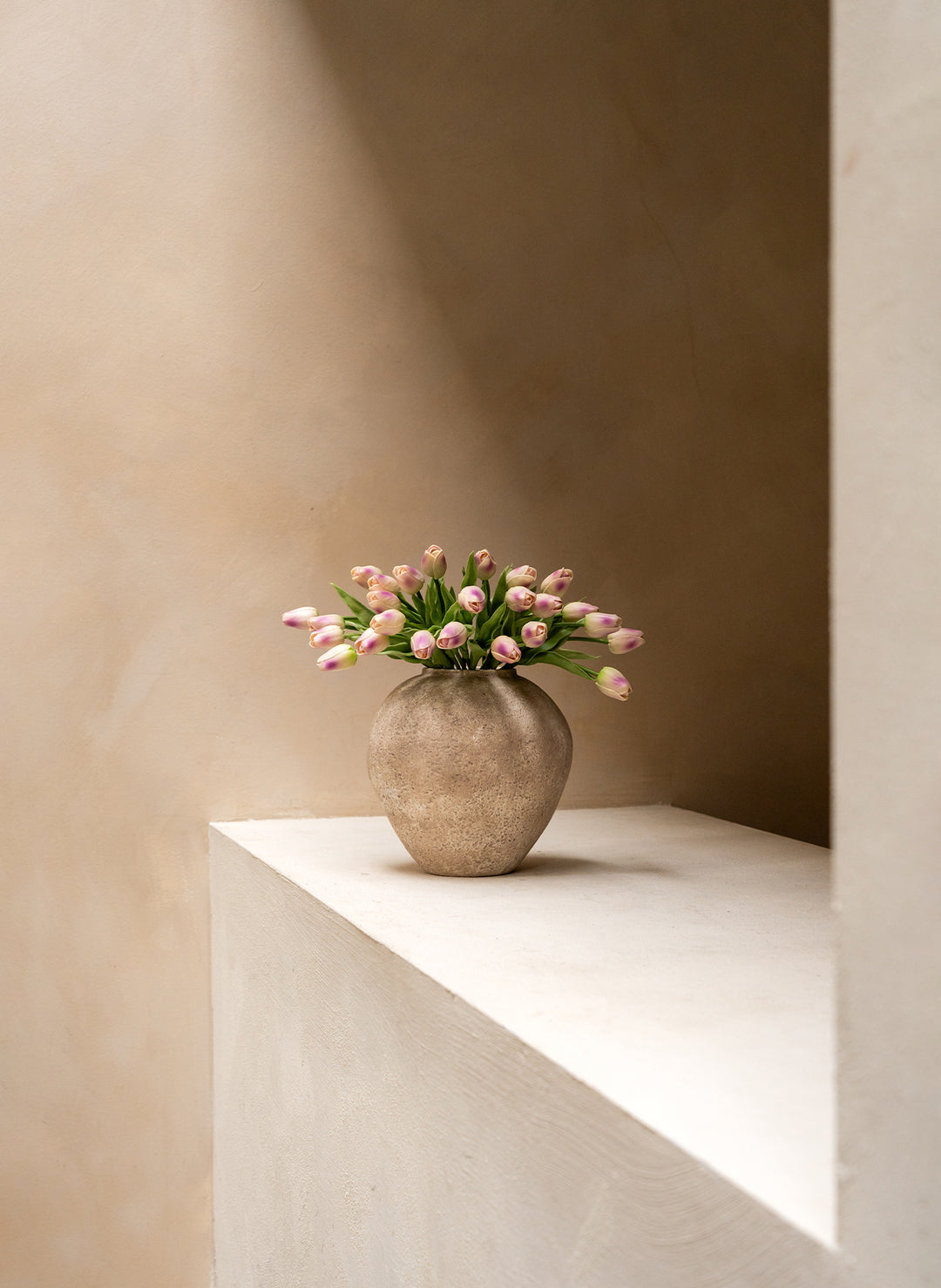 Tulipes - Violet (25 Tiges)