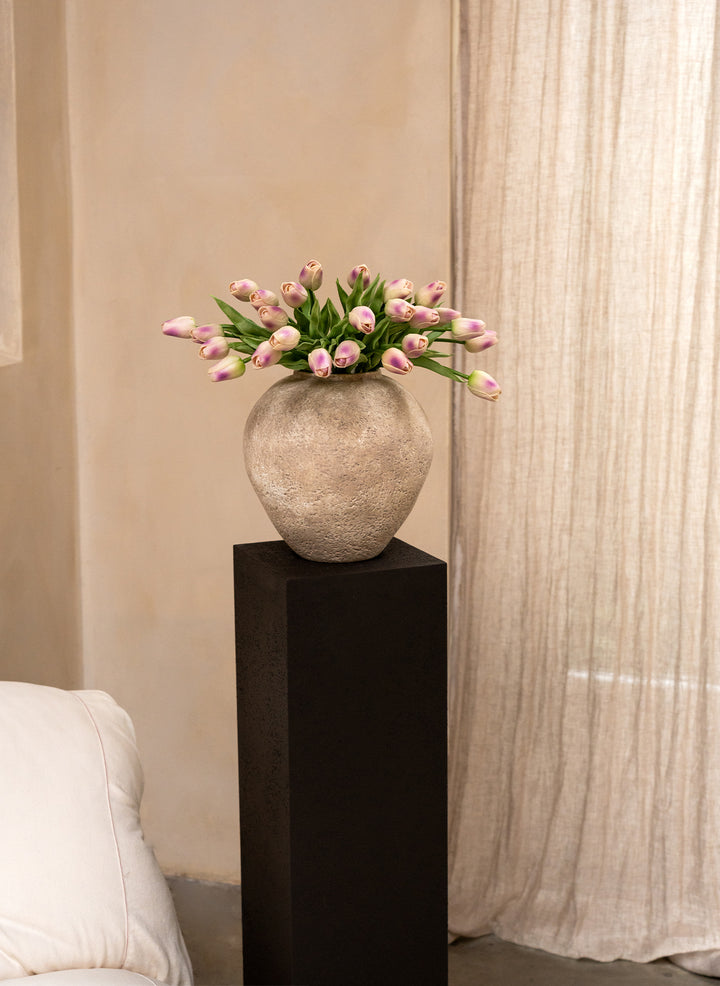 Tulipes - Violet (25 Tiges)