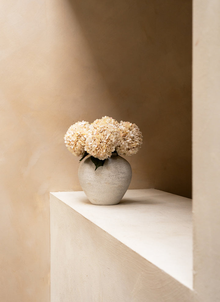 Grande Hortensia (5 tiges) - Crème