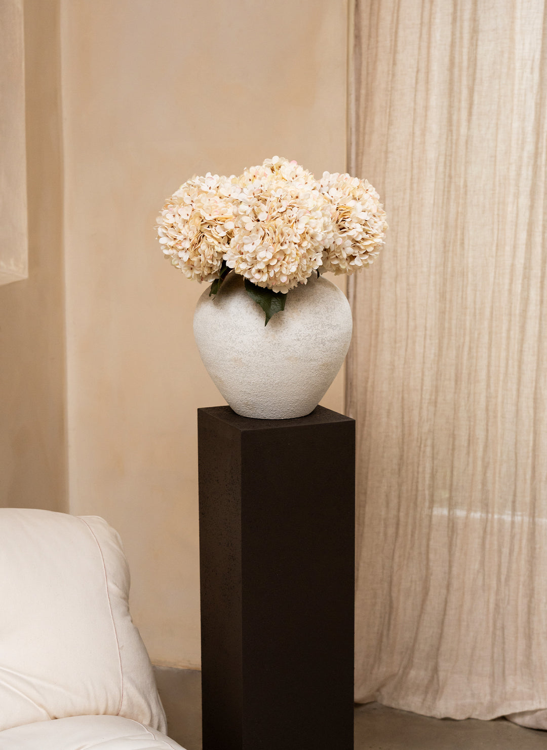 Grande Hortensia (5 tiges) - Crème