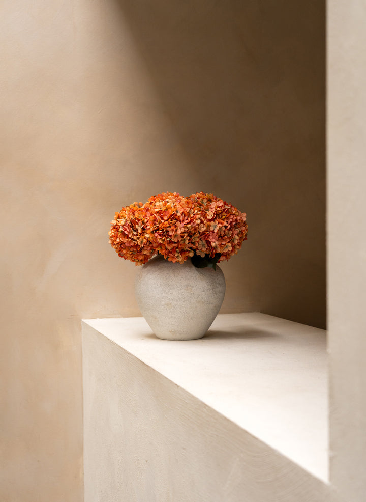 Grande Hortensia (5 tiges) - Orange