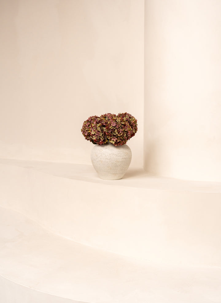 Grande Hortensia (5 tiges) - Mauve