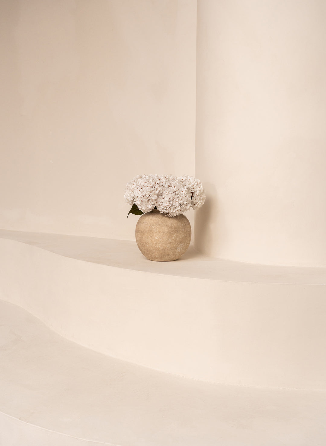 Grande Hortensia (5 tiges) - Blanc