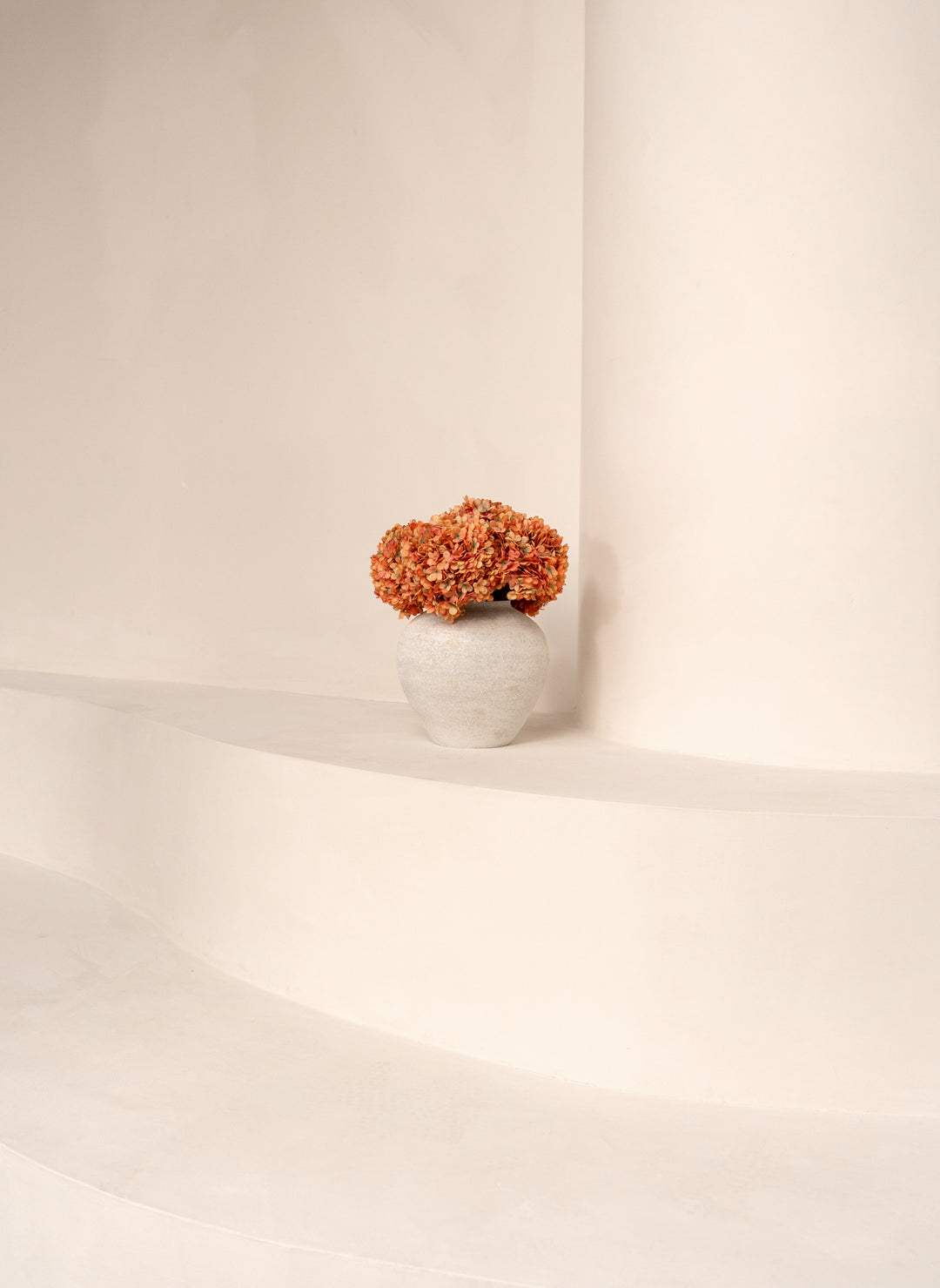 Grande Hortensia (5 tiges) - Orange