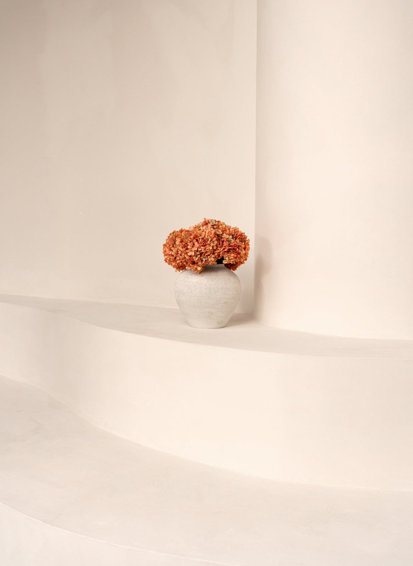 Grande Hortensia (5 tiges) - Orange