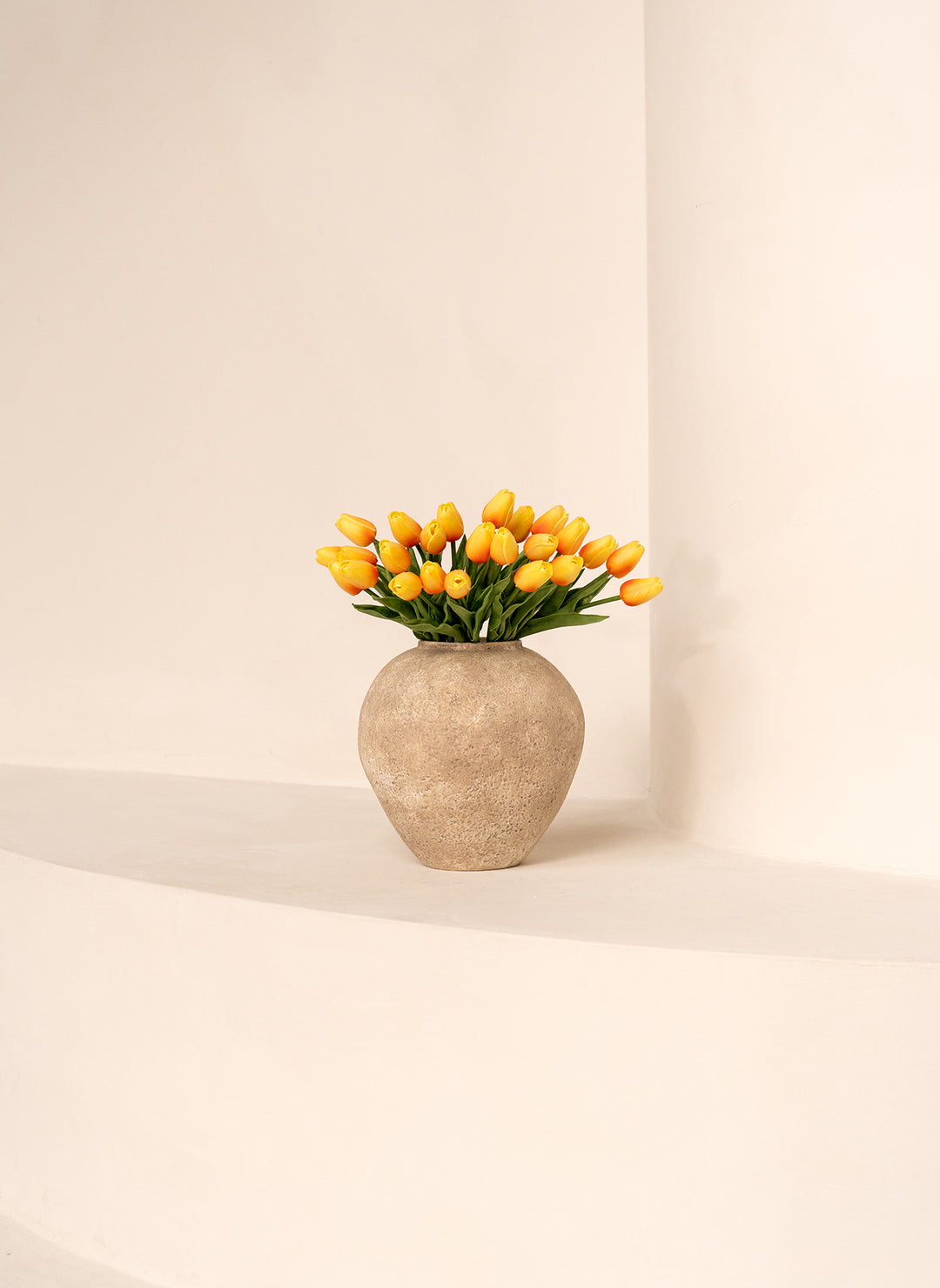 Tulipes - Pêche (25 Tiges)