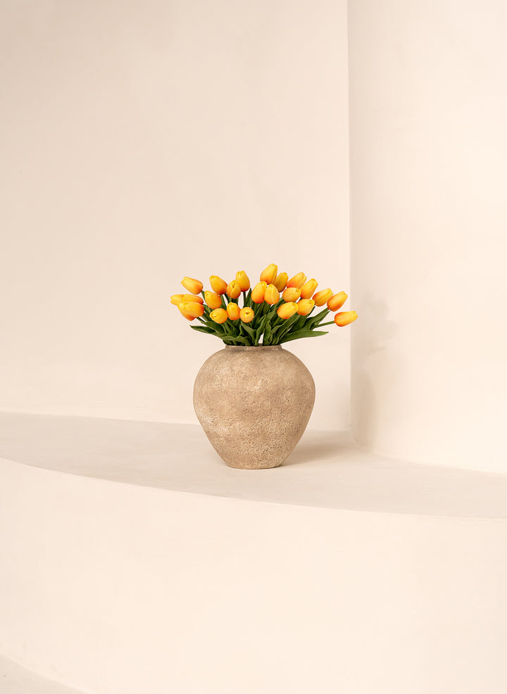 Tulipes - Pêche (25 Tiges)