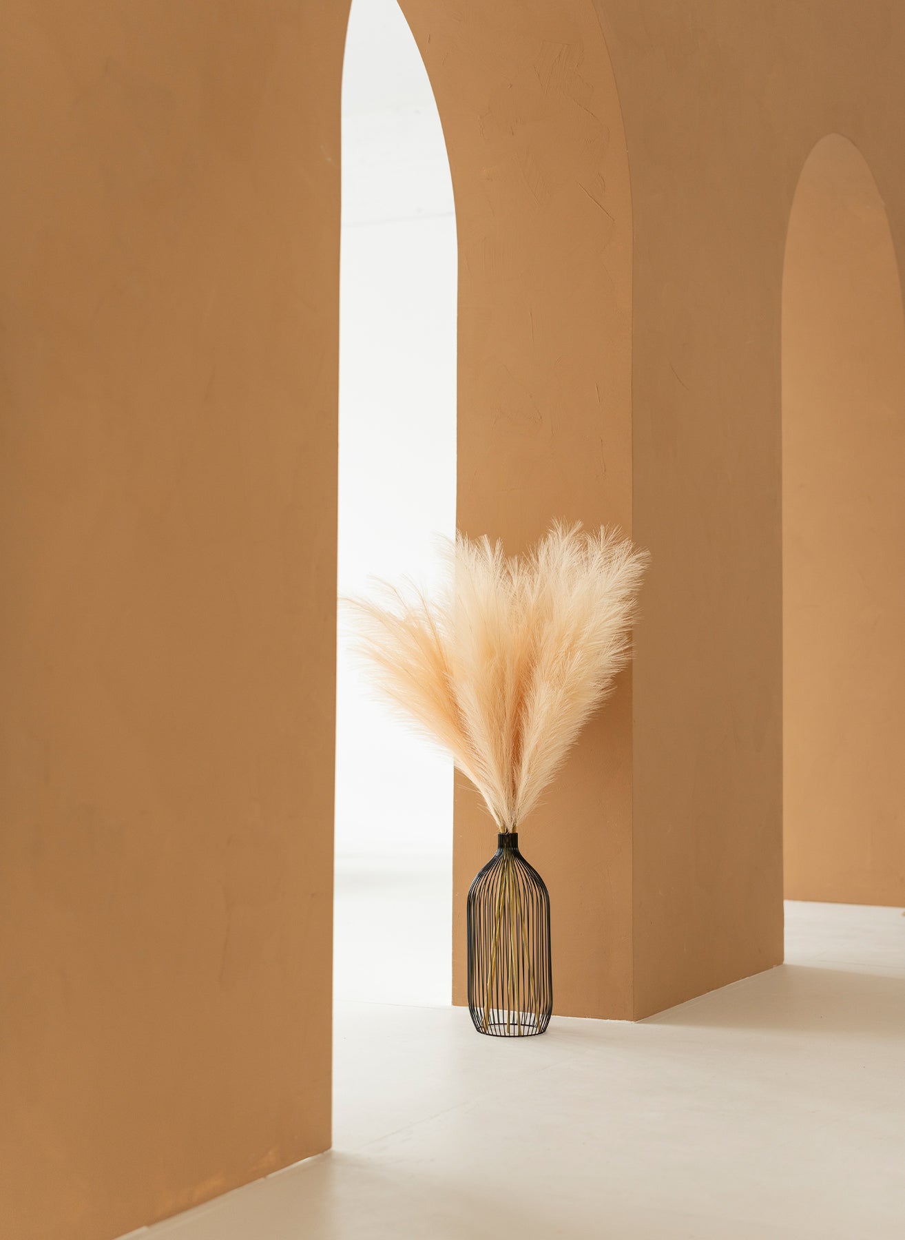 Pampas 110cm (3 tiges)- Crème