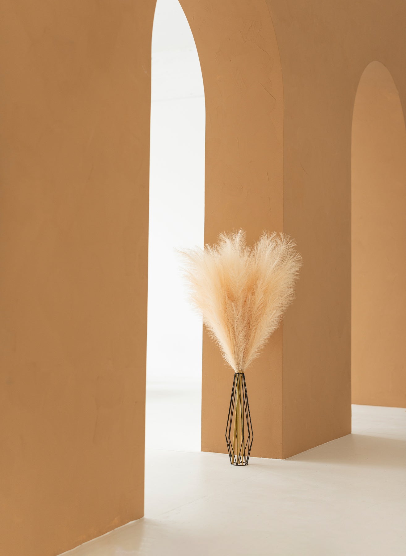 Pampas 110cm (3 tiges)- Crème