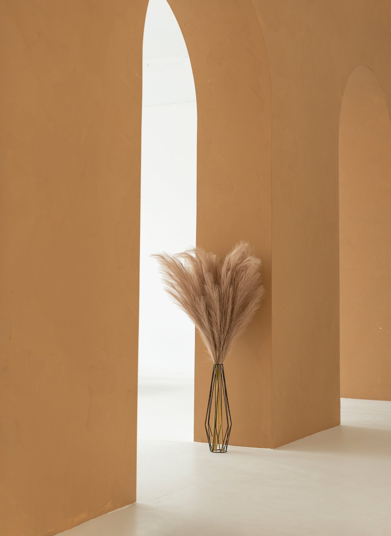 Pampas 110cm (3 tiges)- Brun naturel