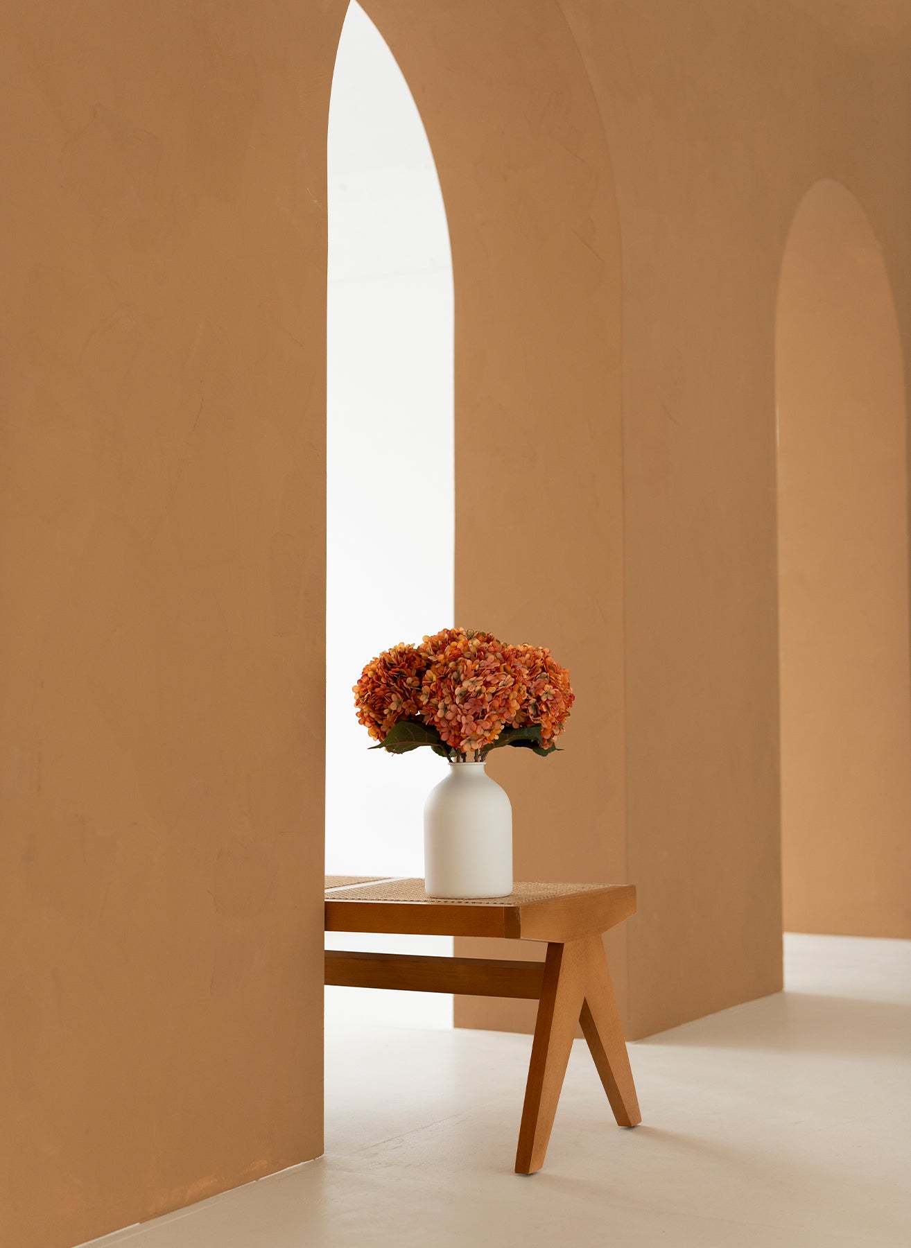 Grande Hortensia (5 tiges) - Orange