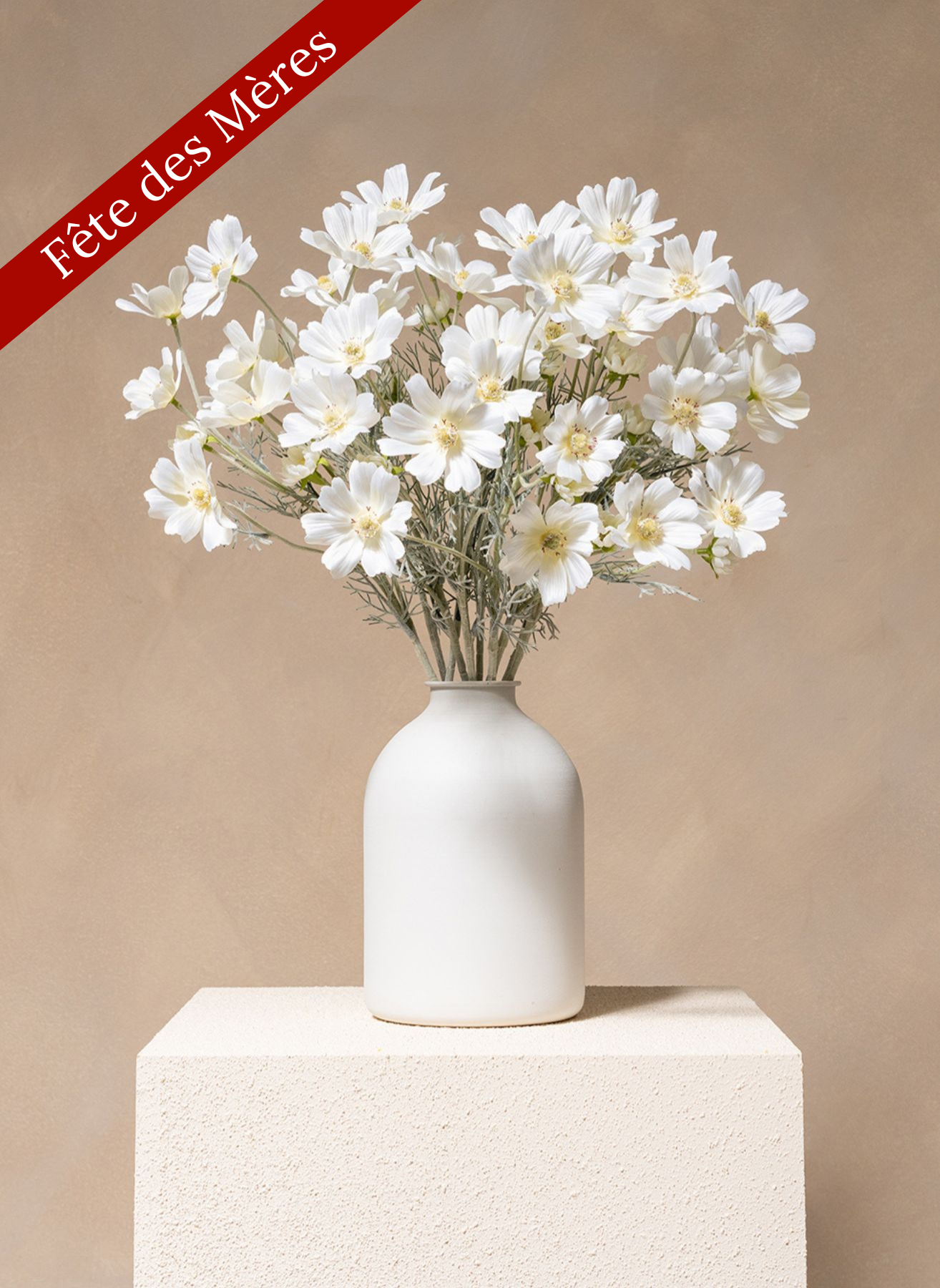 Fleurs de Marguerite