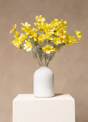 Fleurs de Marguerite - Jaune (10 tiges)