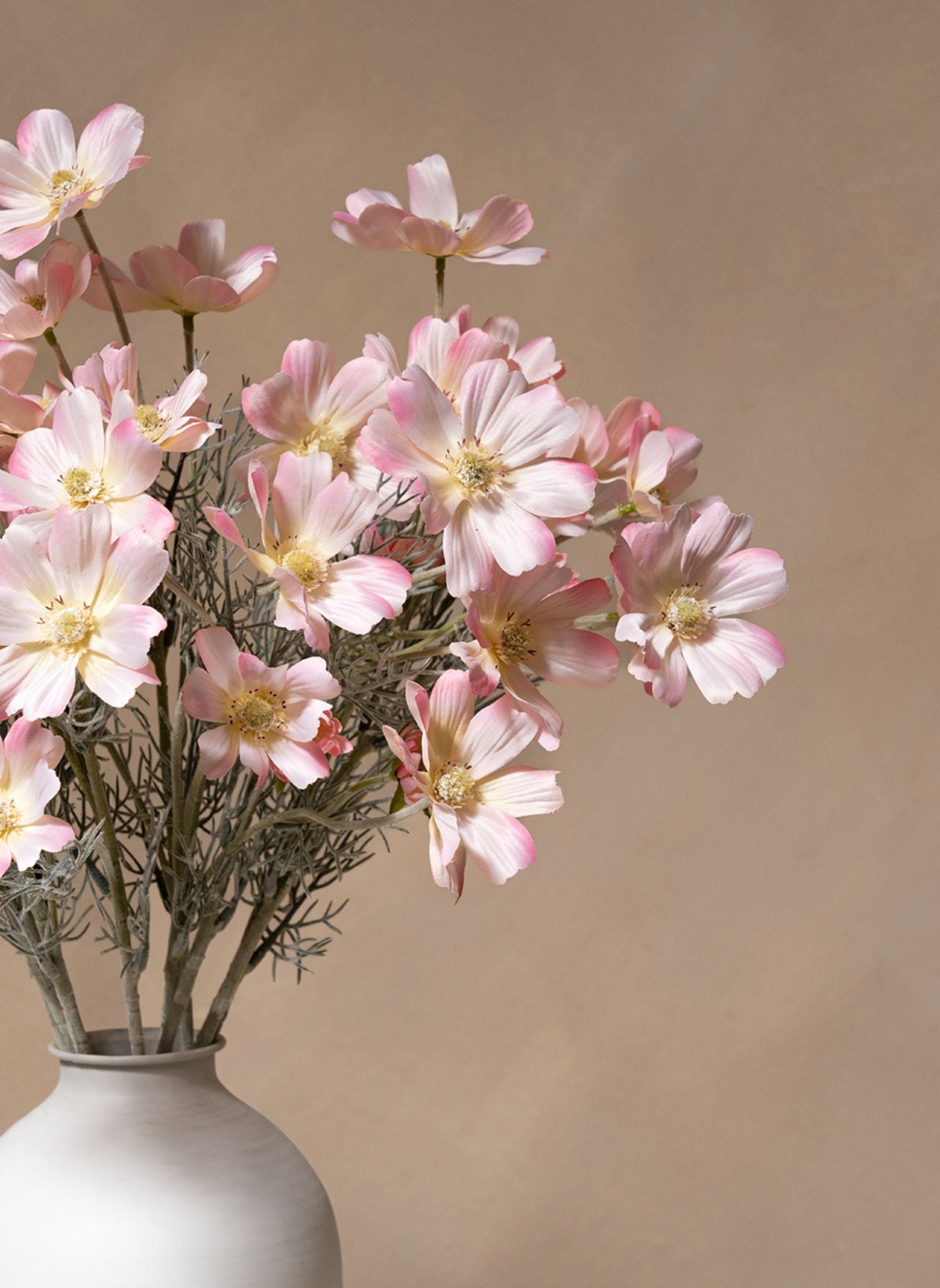 Fleurs de Marguerite - Rose clair (10 tiges)