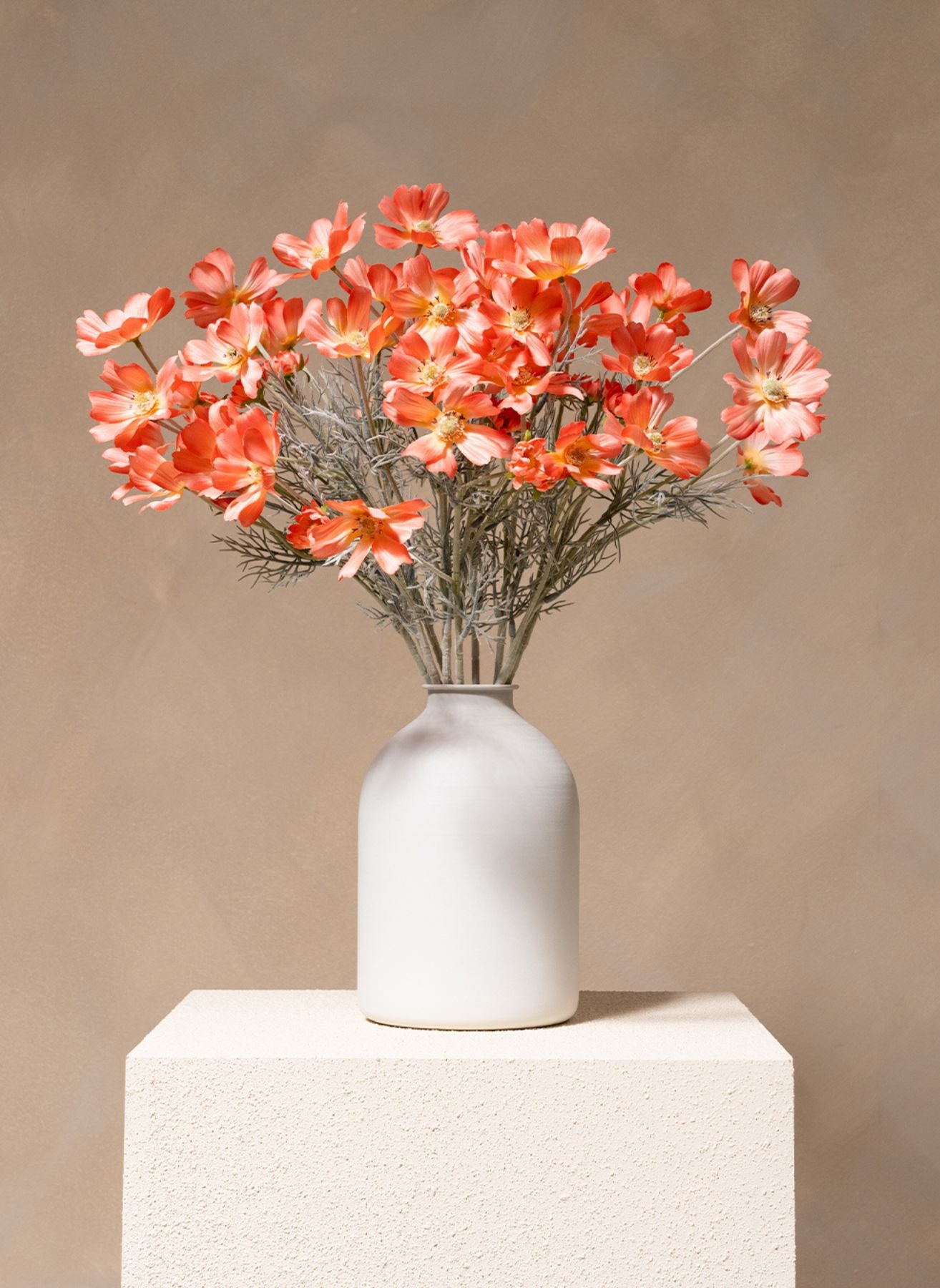 Fleurs de Marguerite - Vieux rose (10 tiges)